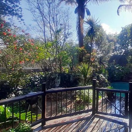 جوهانسبورغ Pantera Lodge & Cheetah Cottage المظهر الخارجي الصورة