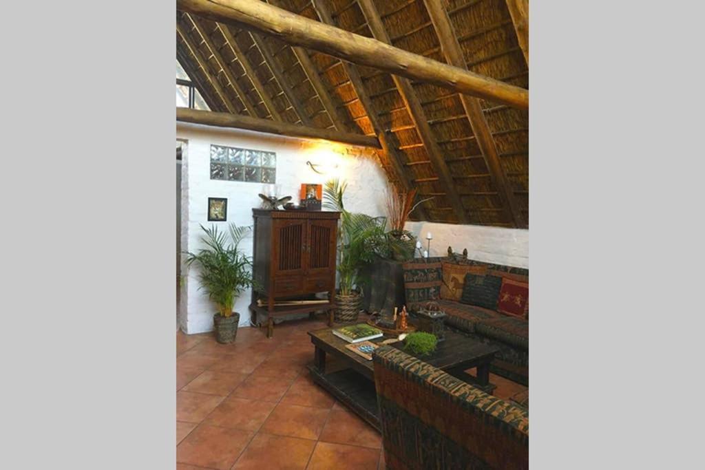 جوهانسبورغ Pantera Lodge & Cheetah Cottage المظهر الخارجي الصورة